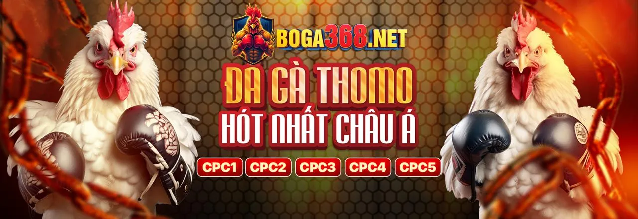 K9CC Đá Gà 2026 – Tải Ứng Dụng Chính Thức & Nhận Ưu Đãi Độc Quyền!