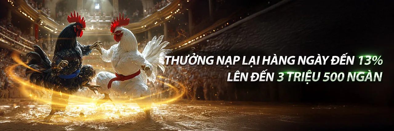 Tổng quan các loại chương trình khuyến mãi tại K9CC Đá Gà